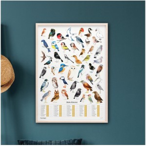 Billede af Luckies Of London Poster Garden Birds - Plakat