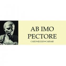 Customworks Magnet/ab Imo Pectore - Magnet