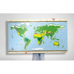 Awesome Maps - Kids Map